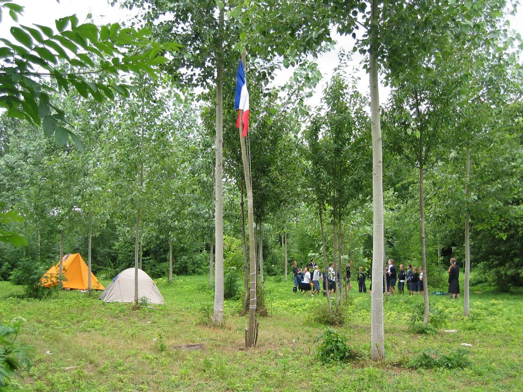 cm 2004 001