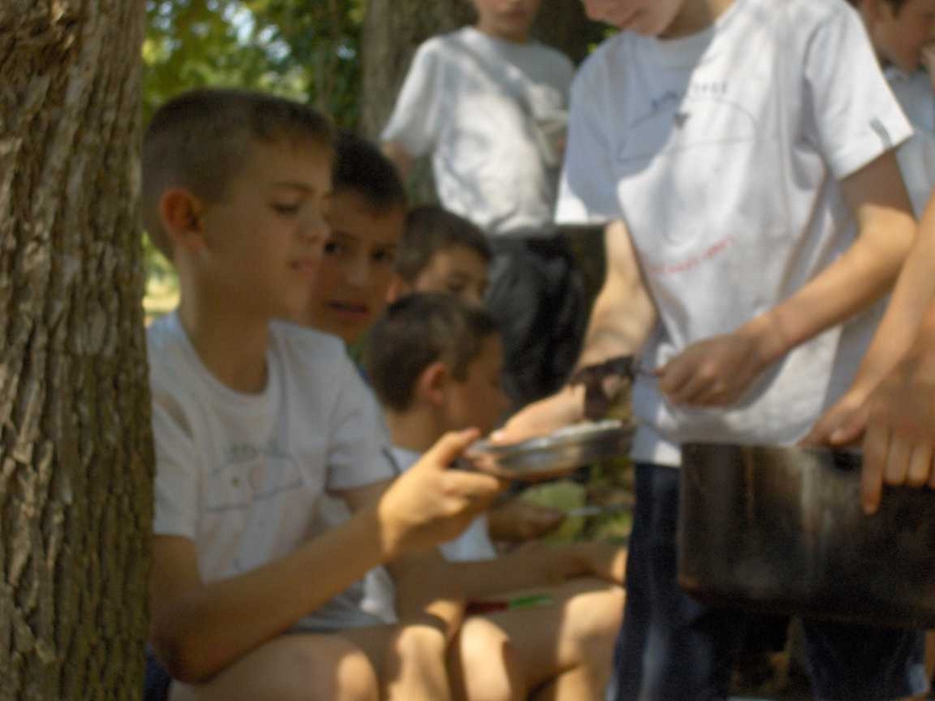 cm 2006 063