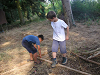 Cliquez ici pour voir l'image (cm_2006_107.jpg)