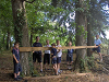 Cliquez ici pour voir l'image (cm_2006_131.jpg)