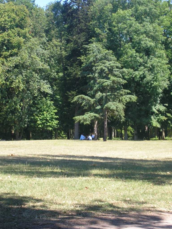 cm 2006 175