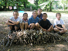 Cliquez ici pour voir l'image (cm_2006_216.jpg)