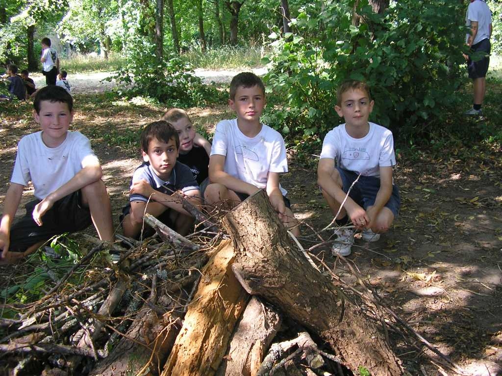 cm 2006 219