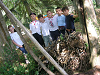 Cliquez ici pour voir l'image (cm_2006_220.jpg)
