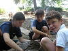 Cliquez ici pour voir l'image (cm_2006_247.jpg)