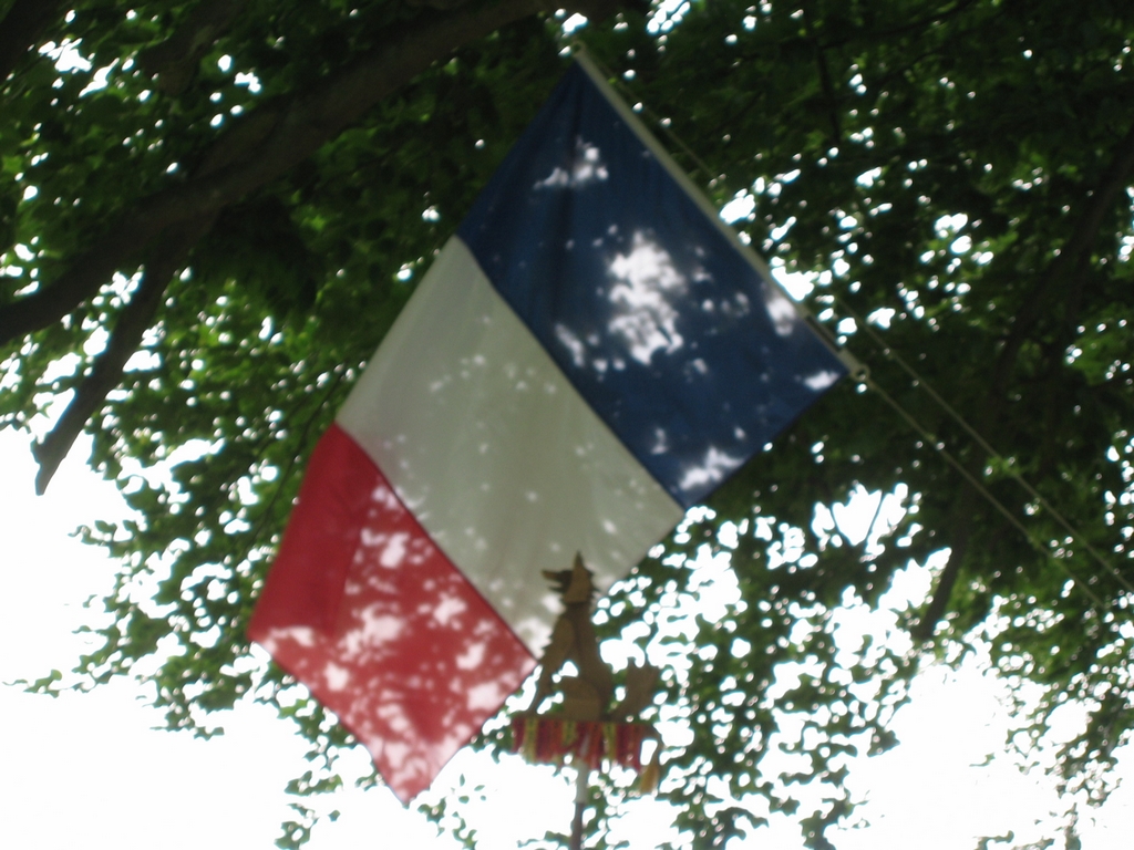 cm 2008 173