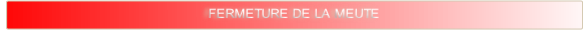 wp1b95cdfa.png