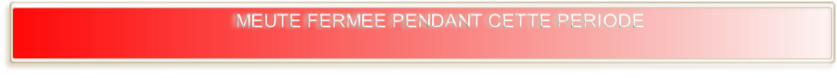 wp4d3f5ea3.png