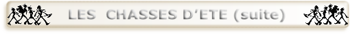 wp69f4bb99.png