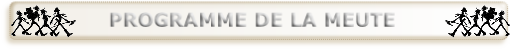 wp9d1bcf17.png